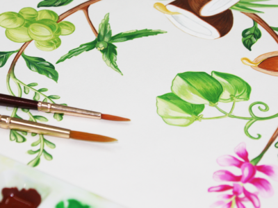 Our fascination for hand painted botanical illustrations